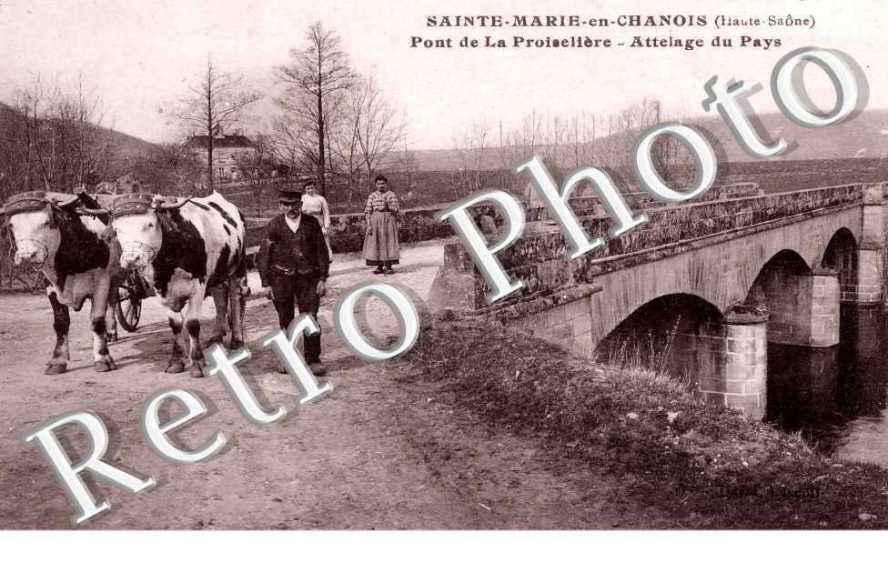 Pont de La Proiselière. Attelage du Pays
