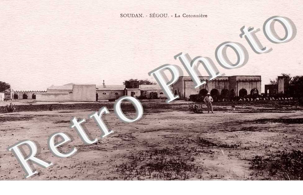 la Cotonnière