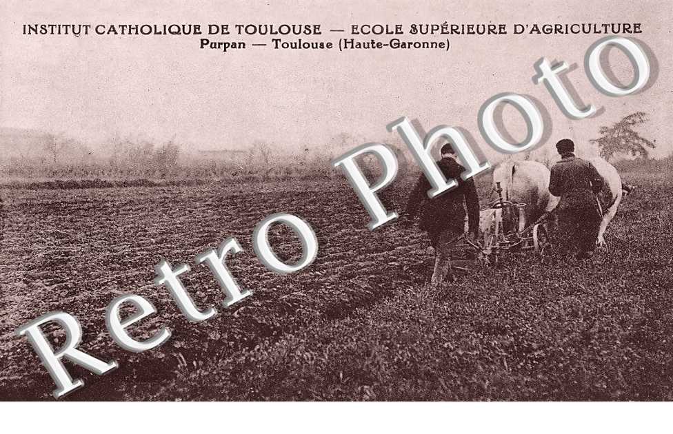 Institut Catholique. Ecole supérieure d'agriculture. Purpan.