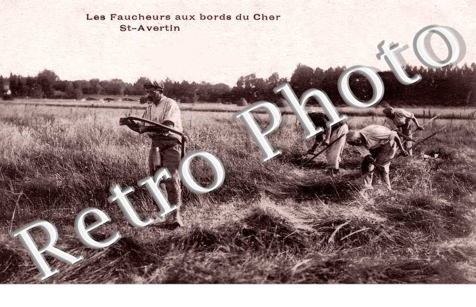 les faucheurs aux bords du Cher