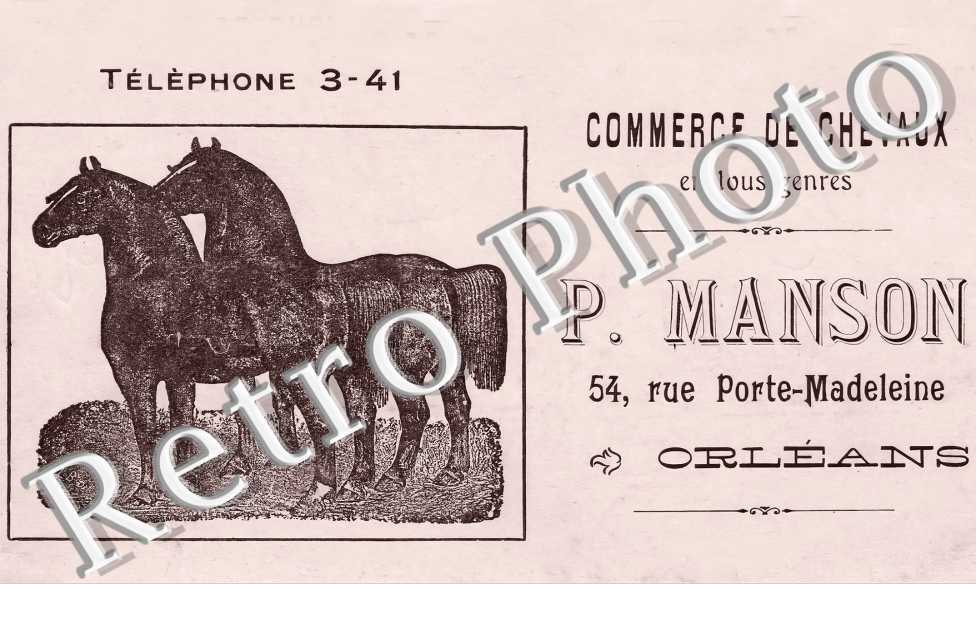 Commerce de chevaux. P. Manson 54 rue Porte-Madeleine