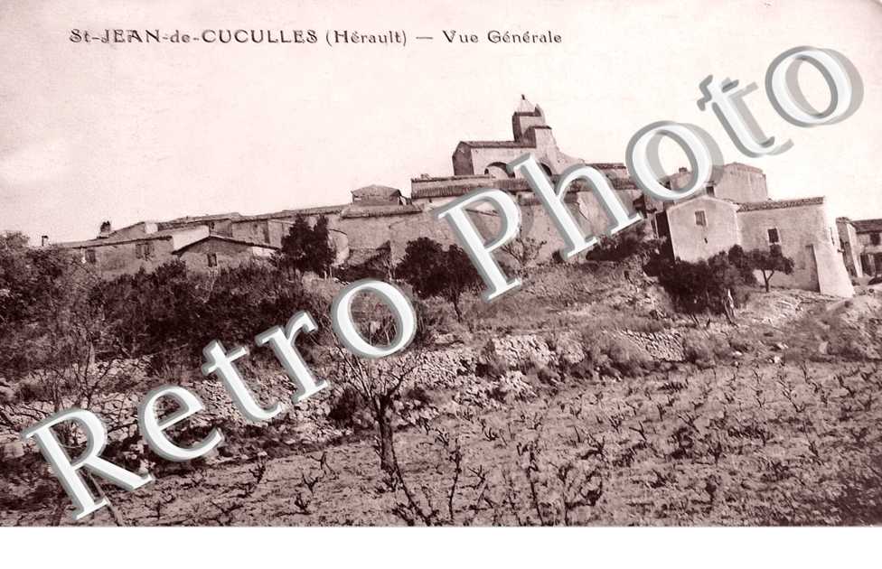 vue générale