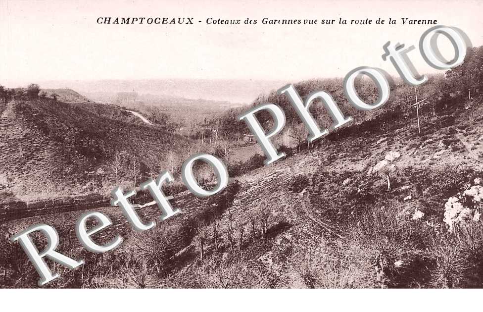 CHAMPTOCEAUX. Coteaux des Garennes sur la route de la Varenne