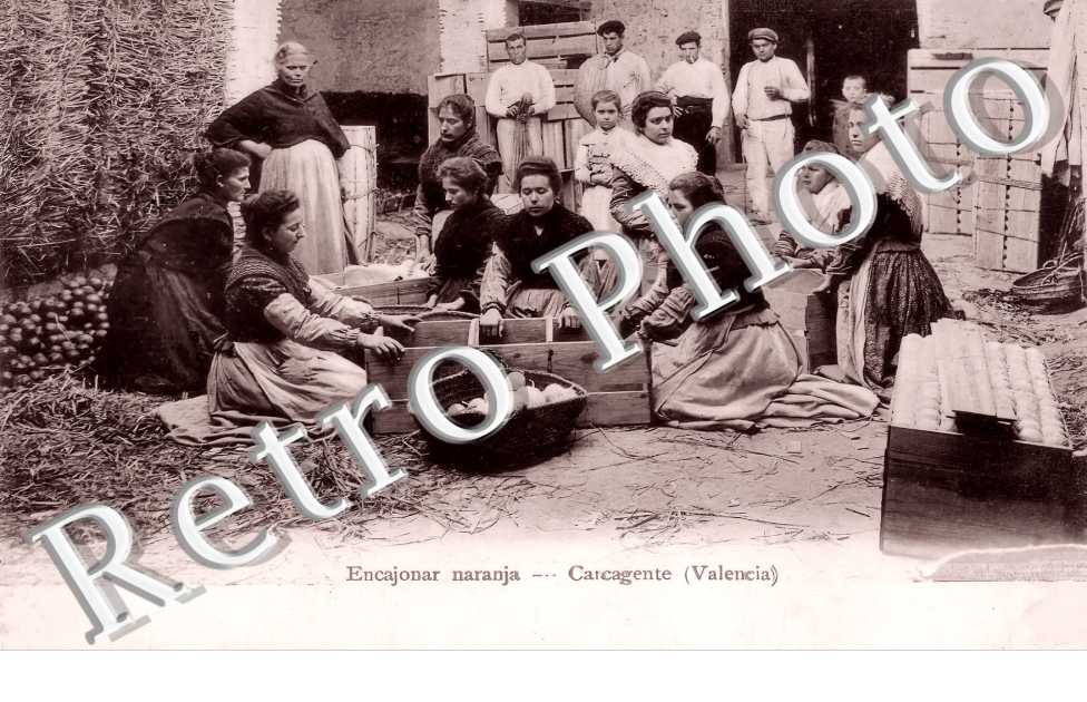 Encajonar naranja