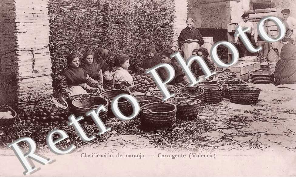 Clasificacion de naranja