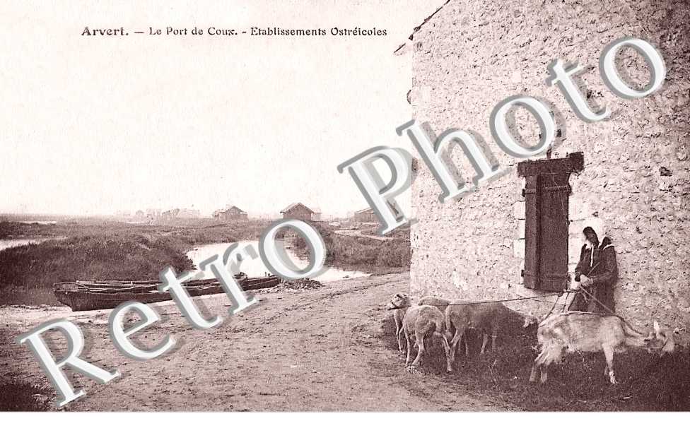 Le Port de Coux. Etablissements Ostréicoles.