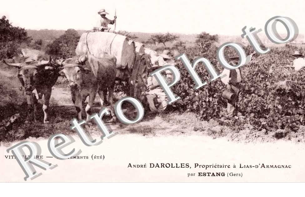 André Darolles, propriétaire à Lias d'Armagnac