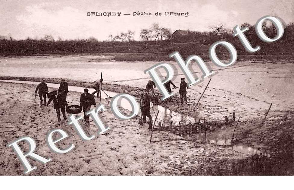 Pêche de l'étang