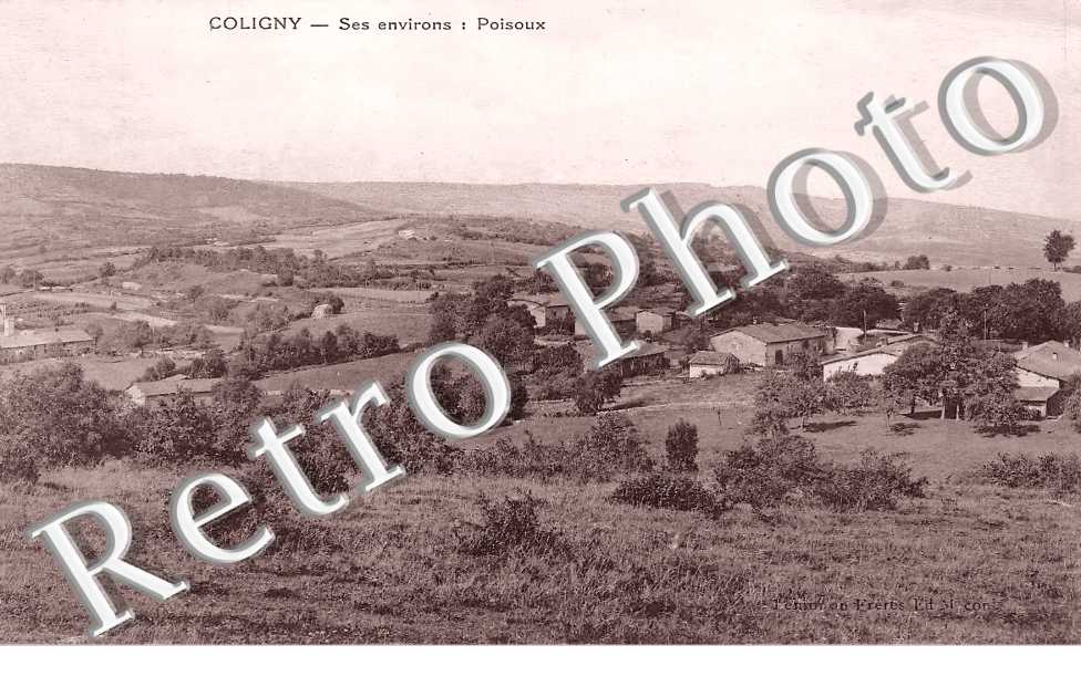 POISOUX. une vue d'ensemble