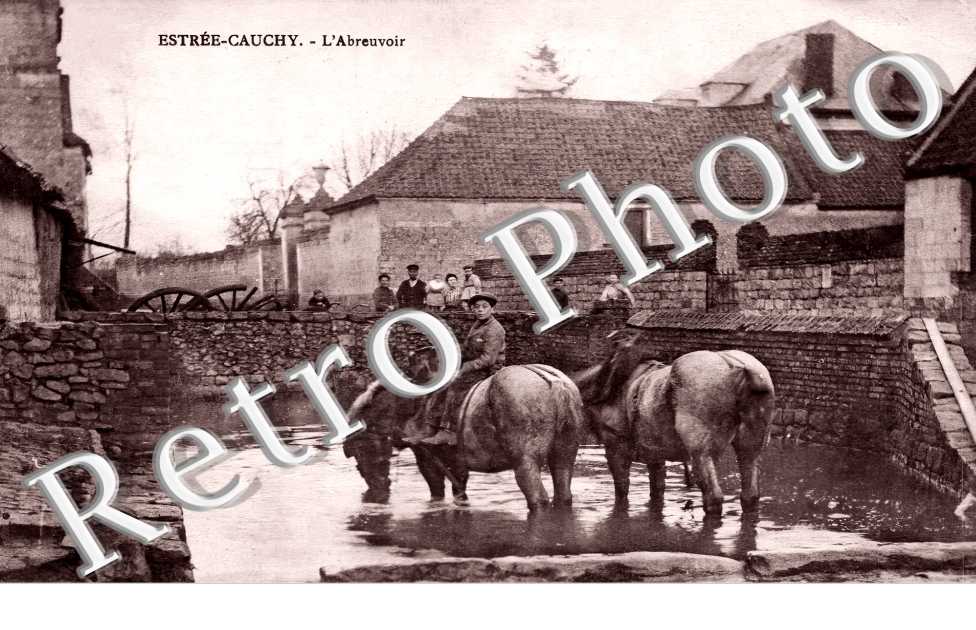 l'abreuvoir