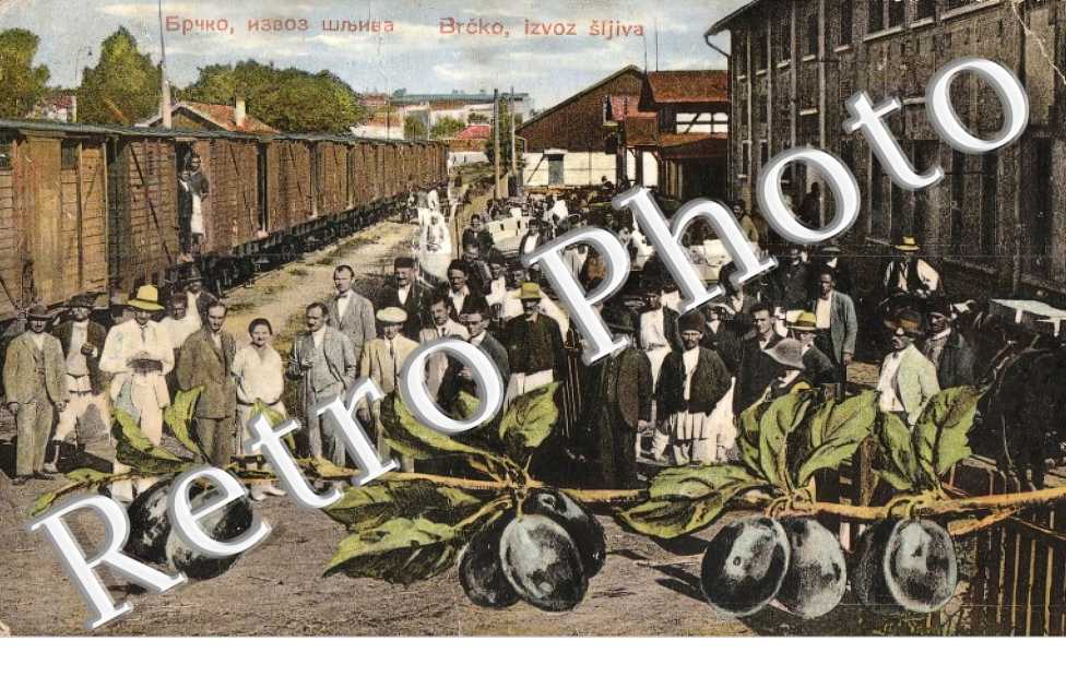Izvoz Sijiva