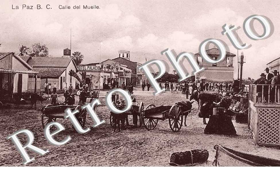 Calle del Muelle