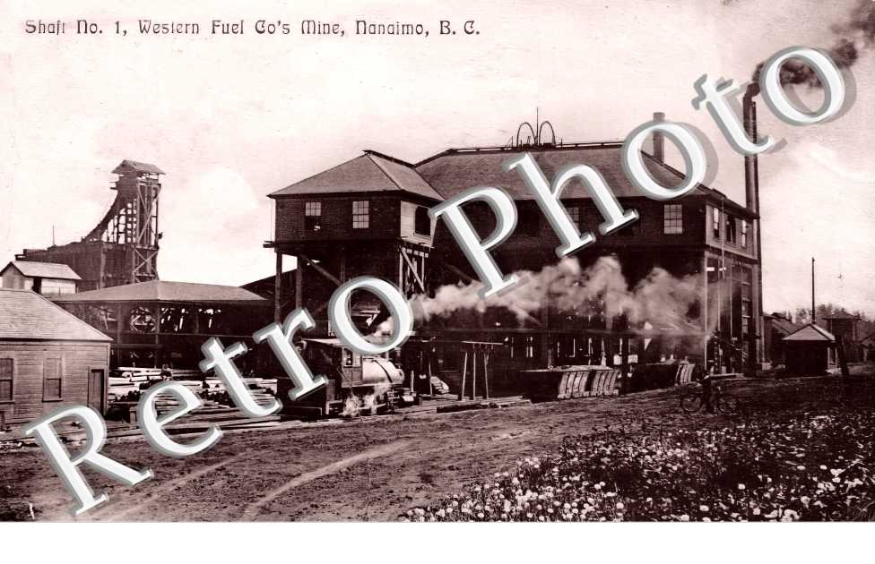 Western Fuel Co's Mince