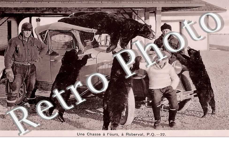 Une chasse à l'ours