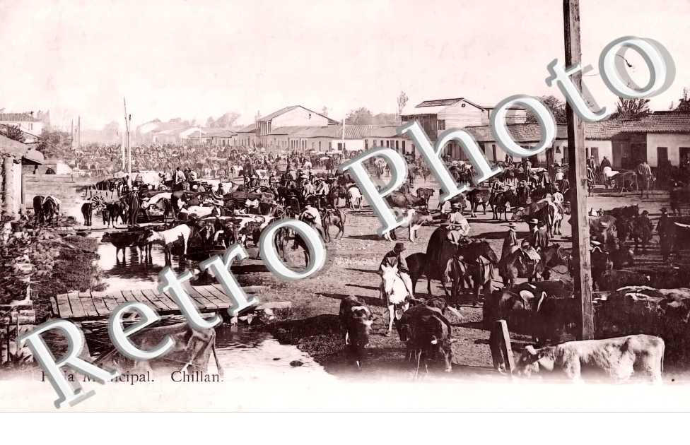 Feria Municipal