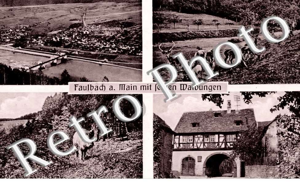 Faulbach a. Main mit feinen Waldungen