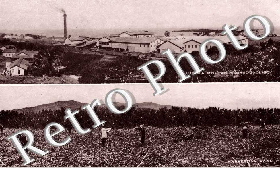 Lautoka Mill and Surroundings
