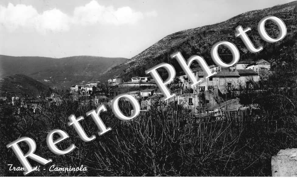Campinola