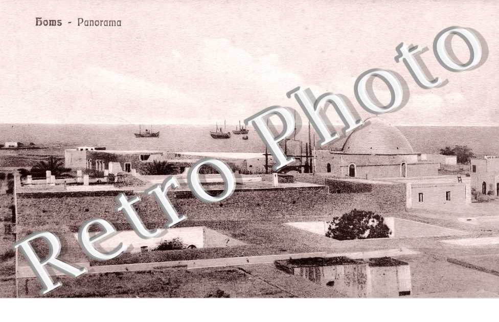 Homs. Panorama