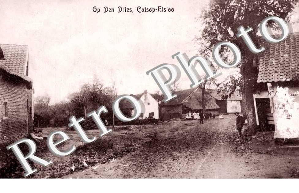 Op Den Dries. Catsop-Elsloo