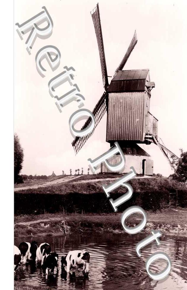 le moulin