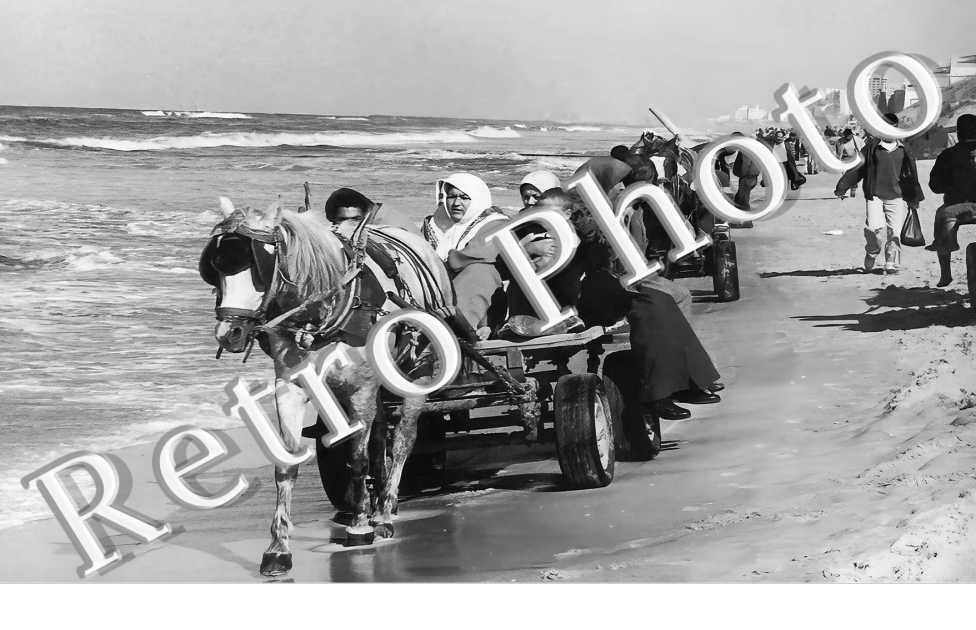 transport sur la plage