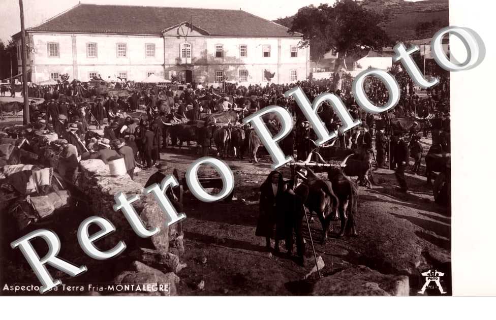 Aspectos da Terra Fria