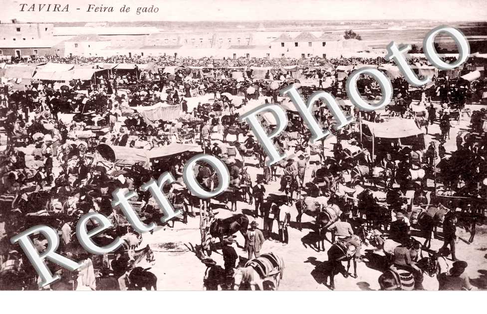 Feira de gado
