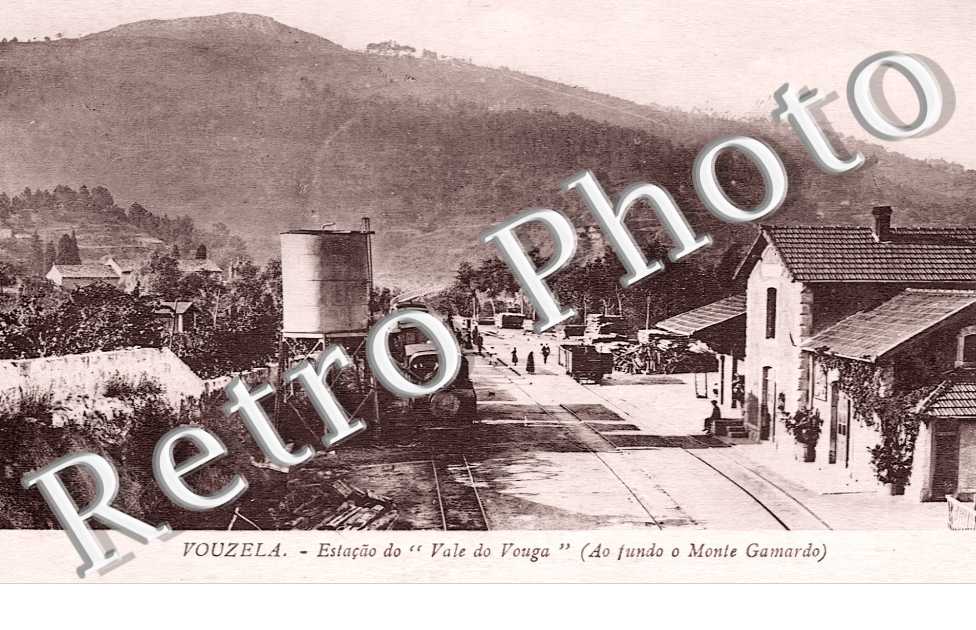 Estaçao do " Vale do Vouga " (Ao fundo o Monte Gamardo)