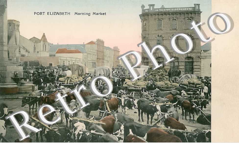 Morning Market