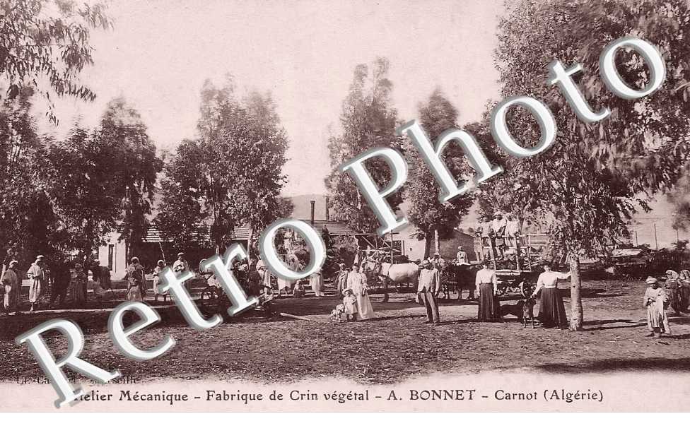 Atelier Mécanique. Fabrique de Crin végétal. A. Bonnet  -  Carnot