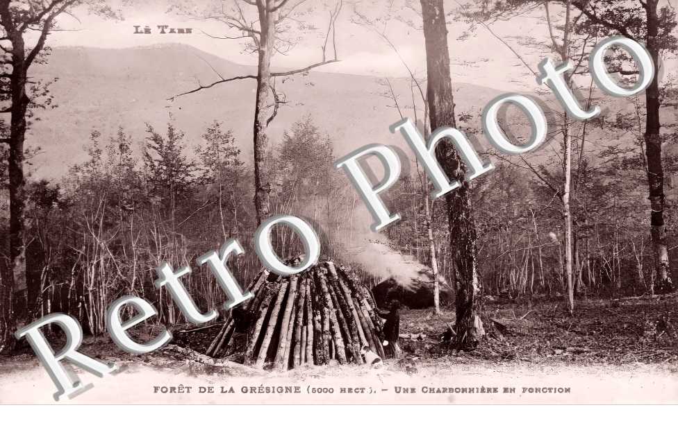 Forêt de la Grésigne. Une charbonnière en fonction