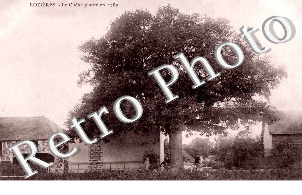 Rozières. Le chêne planté en 1789