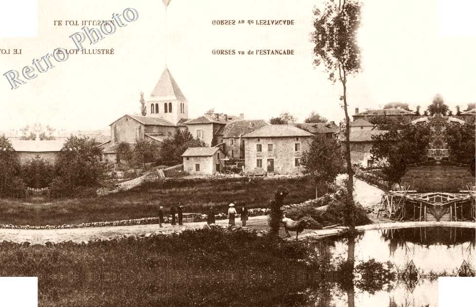 Gorses vu de l'Estancade