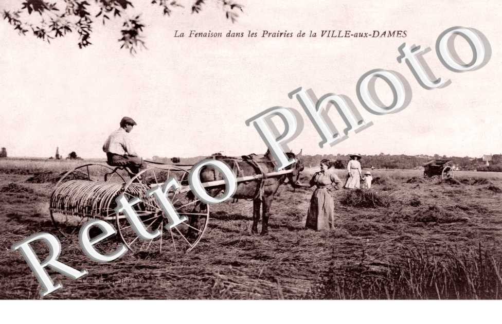 la fenauison dans les prairies