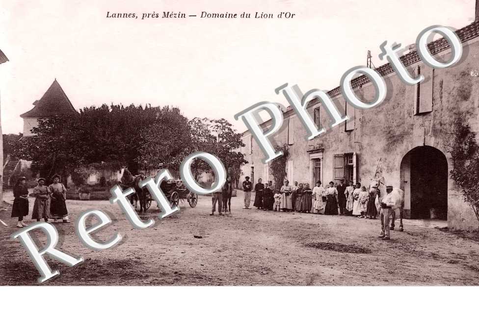 Domaine du Lion d'Or