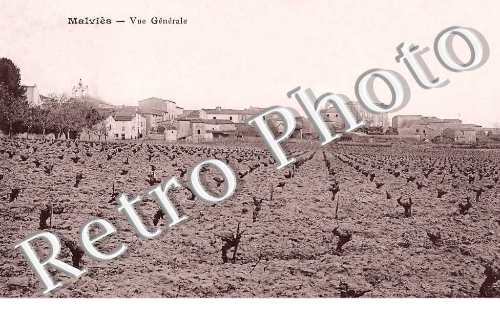 vue générale