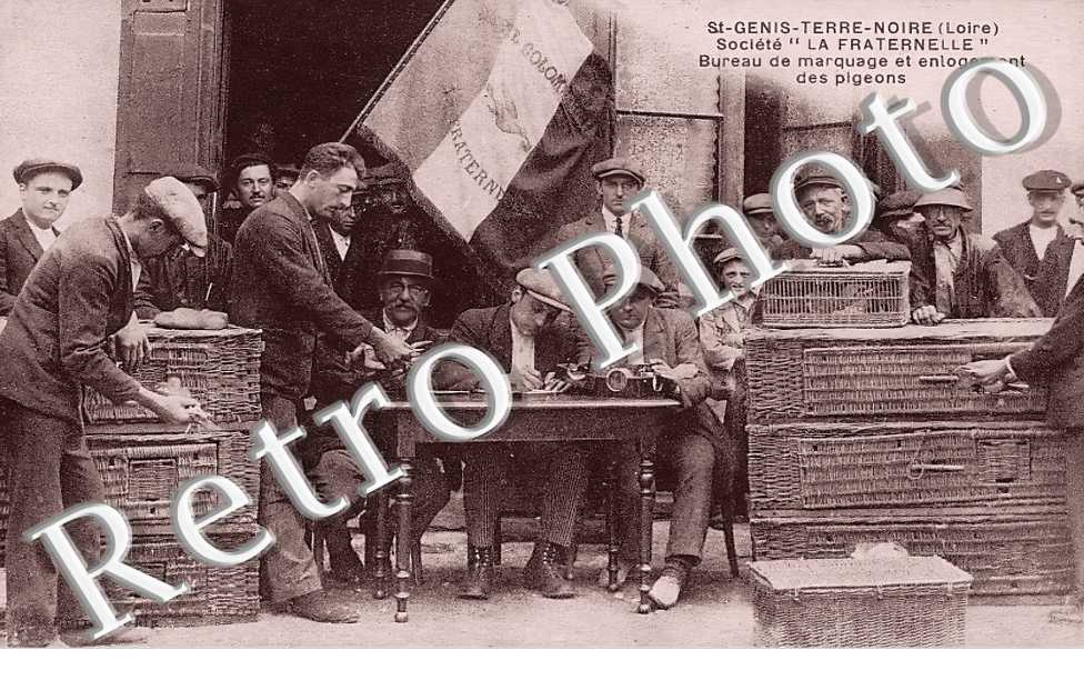Saint-Genis-Terre-Noire. Société " La Fraternelle " Bureau de marquage et enlogement des pigeons