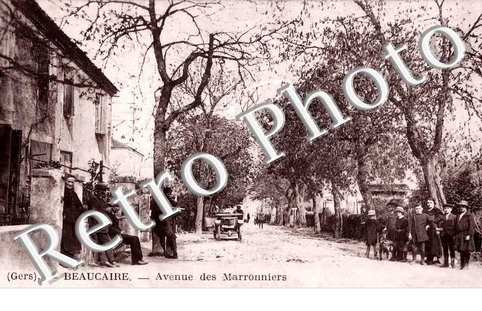avenue des Marronniers