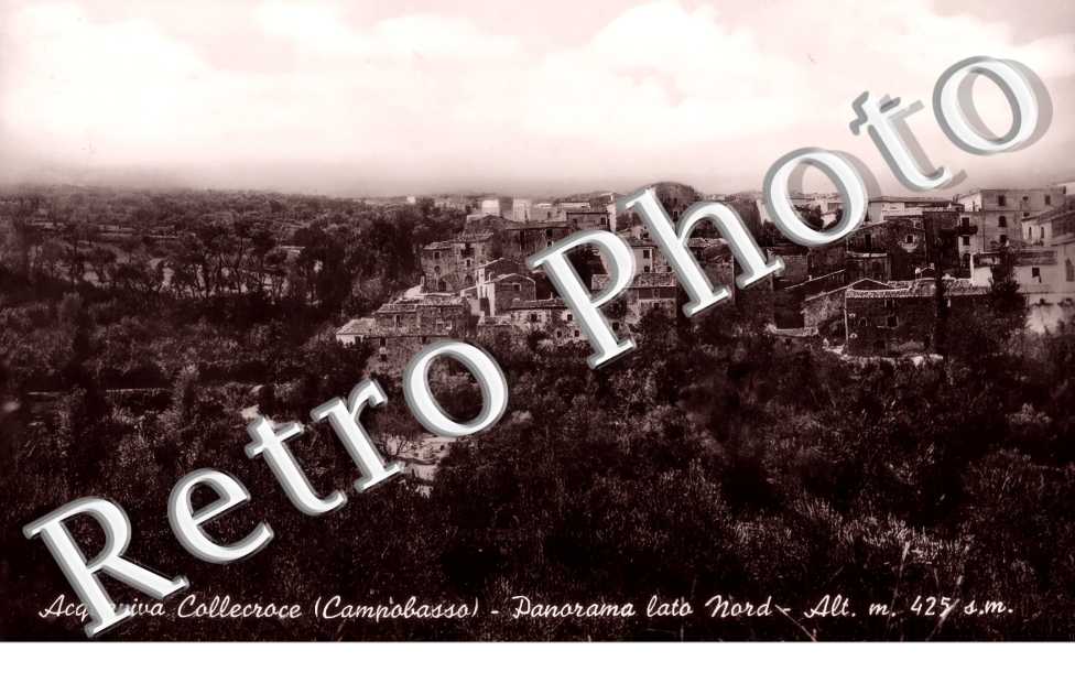 panora