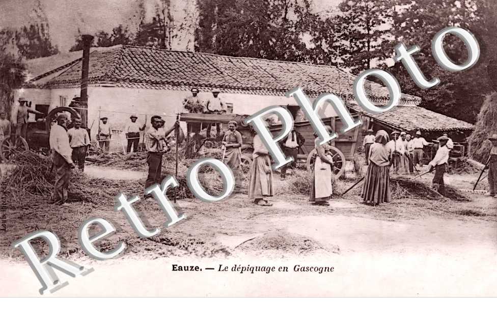 le dépiquage en Gascogne