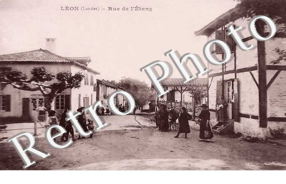 rue de l'étang