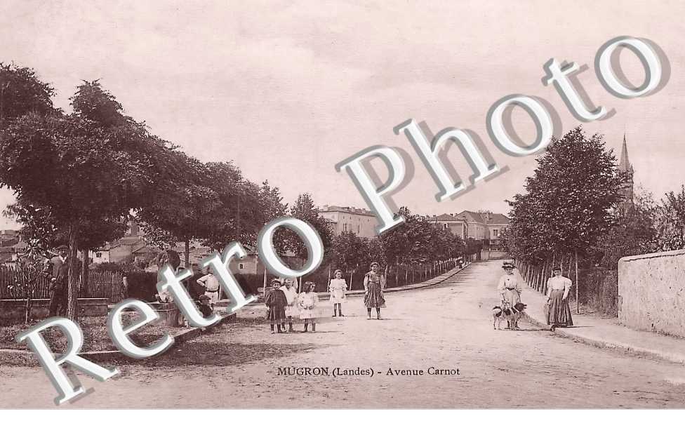 Avenue Carnot