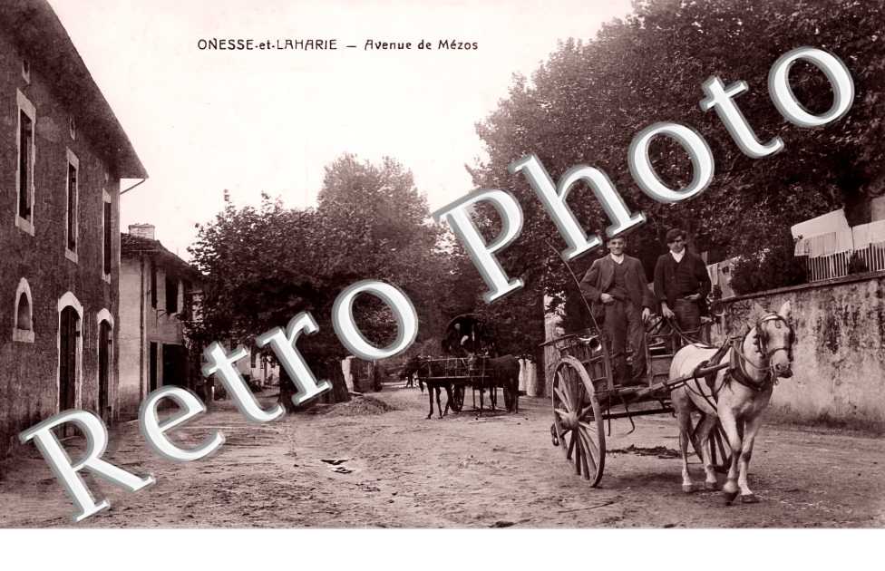 avenue de Mézos
