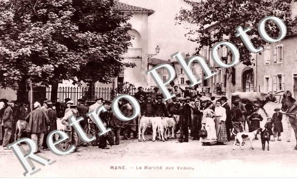 le Marché aux Veaux