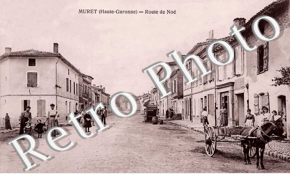 route de Noé