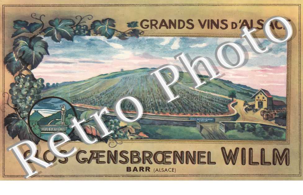 Grands Vins d'Alsace. Clos Gaensbroennel Willm
