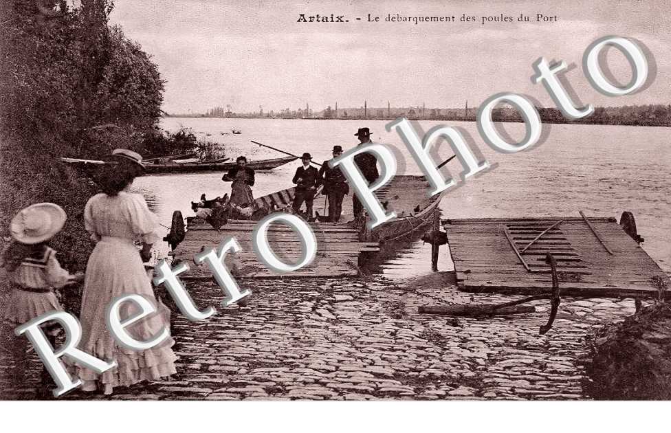 le débarquement des poules du Port