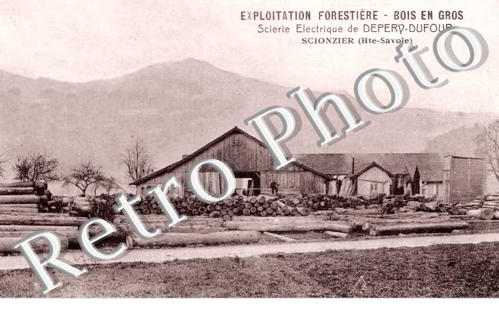 Exploitation Forestière. Bois en Gros. Scierie Electrique de Depery-Dufour