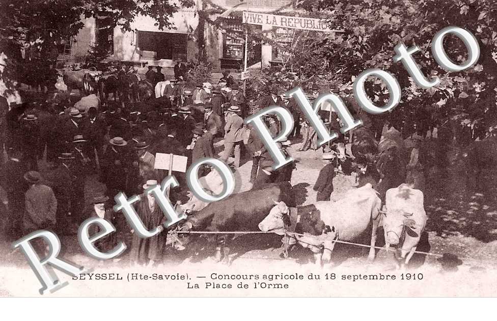 Concours Agricole du 18 septembre 1910. La Place de l'Orme